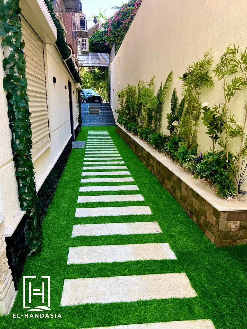 Evergreen screening planted along the walkway